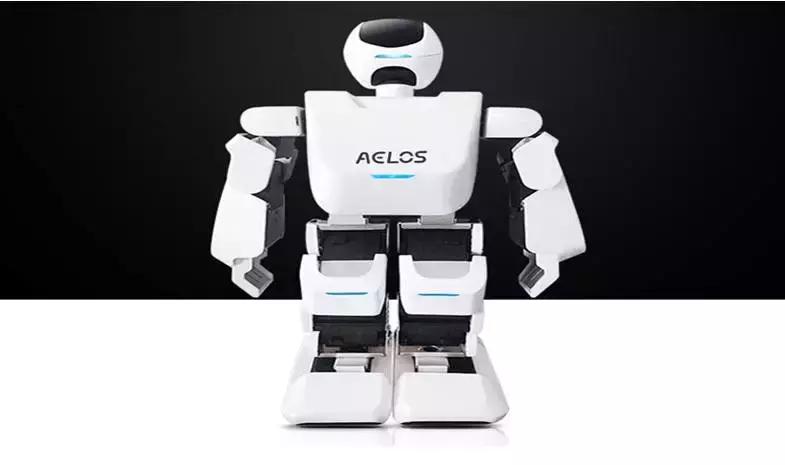 编程式智能玩具,编程人工智能玩具