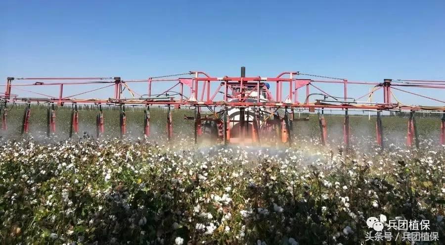 误食乙烯利催熟剂,乙烯利芒果催熟剂