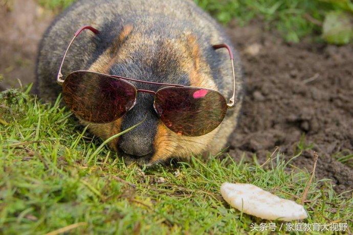 孩子情绪委屈怎么教育,家庭教育正确引导孩子情绪表达