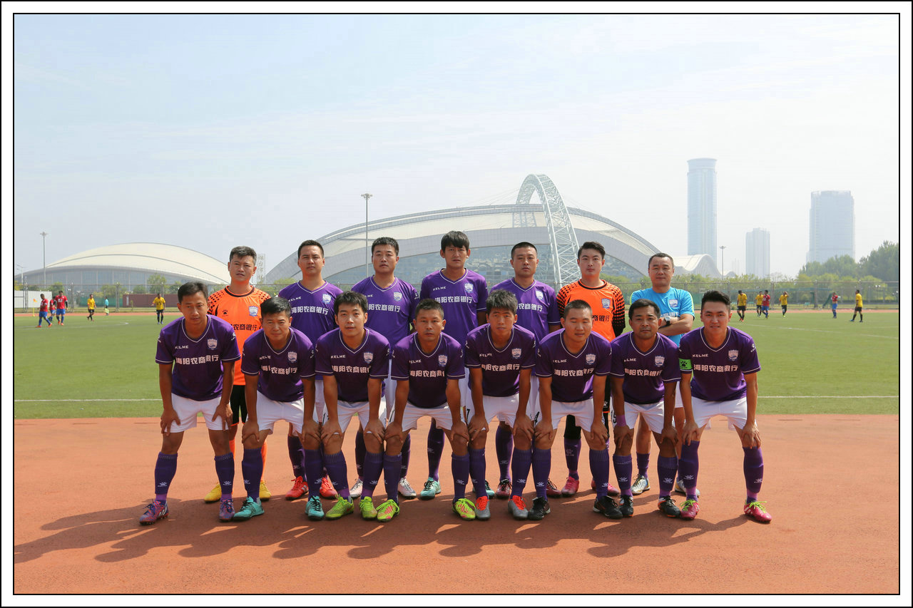 绿茵上追梦,绿茵场上的追梦人