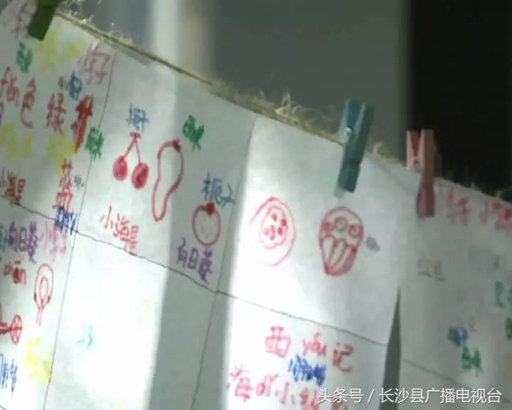 神奇的学校有哪些,神奇的学校完整版国语版