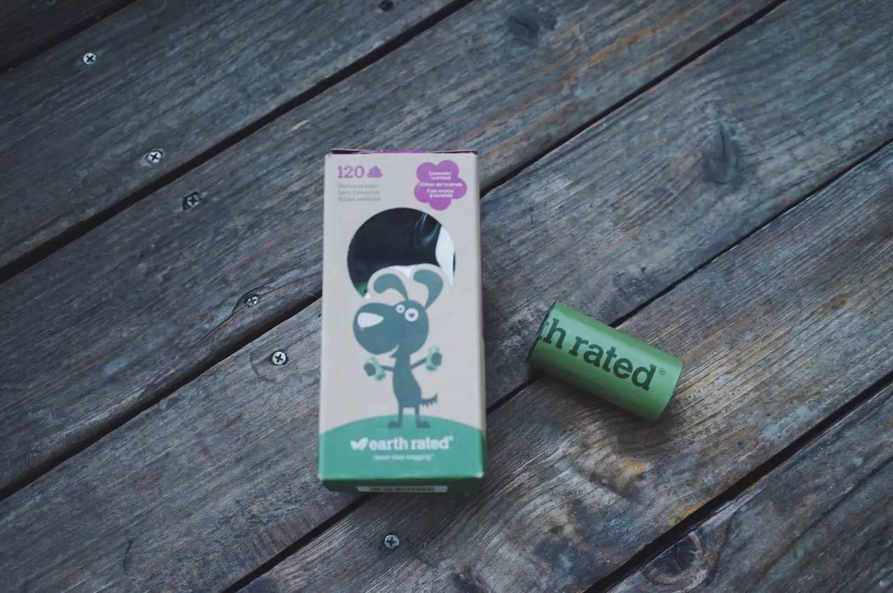 玩物不丧志创作原声,玩物不丧志