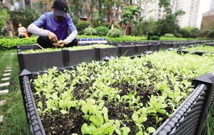 合肥打造超级旅游中心,合肥最新建设的景区