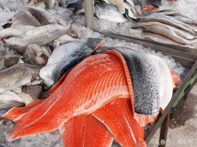 世界十大海鲜市场排名,世界最大的海鲜市场日本