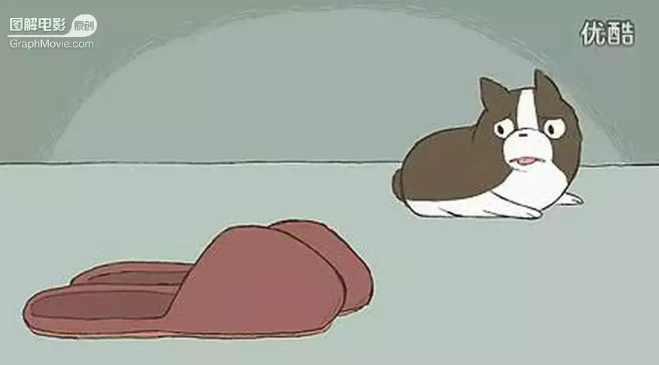 1分钟看完煎蛋饼养只狗狗来做饭狗版の田螺姑娘