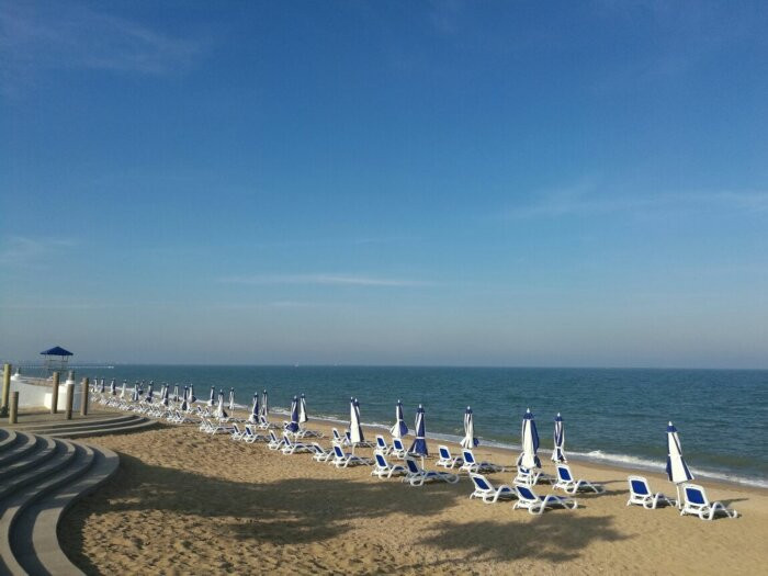 日照海捕海鲜有哪些,日照赶海后抓到的海鲜去哪儿吃