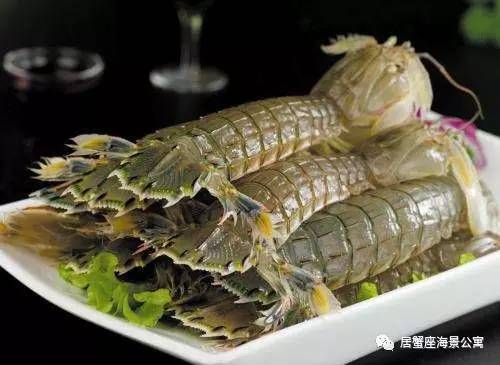 攻略|老渔民亲传“扒虾秘籍”,皮皮虾我们走!