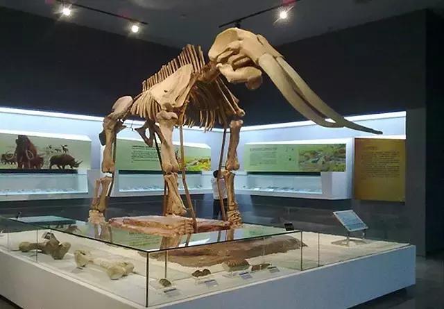 了解一座城的方式就是去当地的博物馆和菜市场，来长沙这些博物馆定让你不虚此行