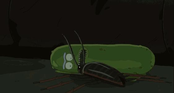 一条黄瓜加上宇宙第一的脑袋，等于无敌的存在，神剧瑞克回归