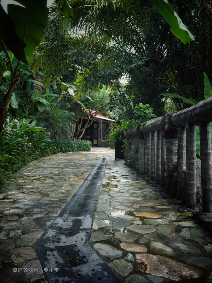 热带雨林里的美食,来这里吃的全是特色!
