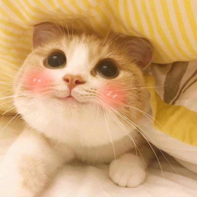 看电视时,你曾经被什么食物深深击中过?