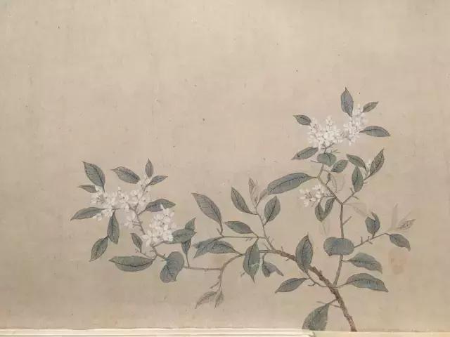 故宫武英殿赵孟頫书画特展,北京故宫有展赵孟頫画吗