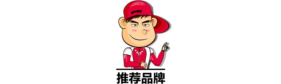 如何选择汽油牌号,如何选择适合车辆的燃油添加剂