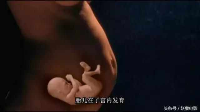 最震撼的纪录片bbc人体的奥秘,人体科普纪录片top10