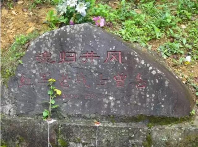 行程万里不忘初心的故事,行程万里不忘初心