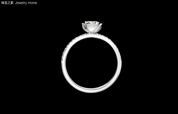 伯爵戒指时来运转什么颜色好看,伯爵戒指和卡地亚戒指哪个好