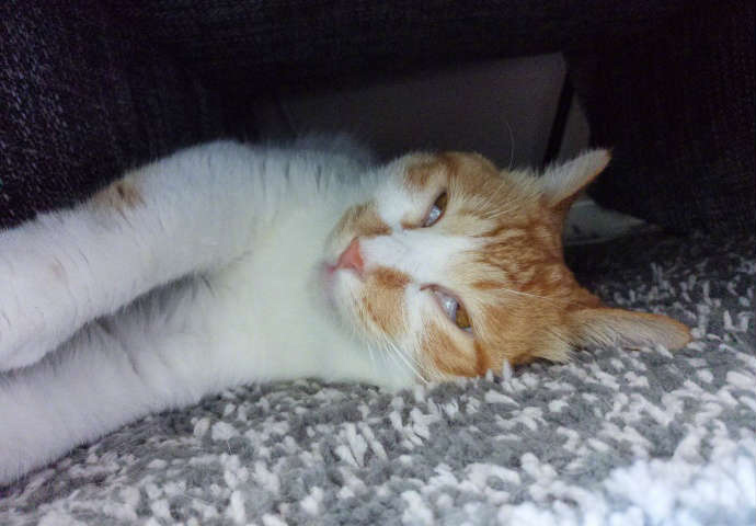 段子十则四十二期,段子十则