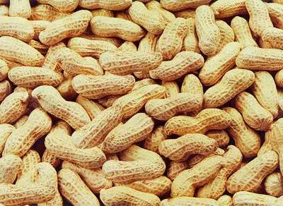 关于「孕晚期饮食」的那些“爱恨情仇”