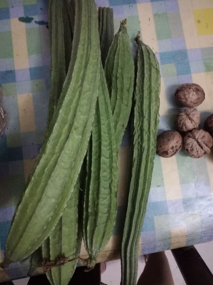 妈妈把晒好的核桃分成了五份······