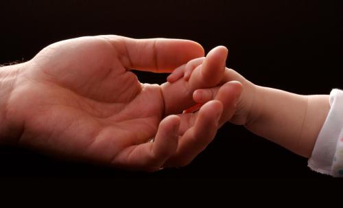 奶粉怎么辨别真假不粘锅,蓝胖子奶粉怎么辨别真假