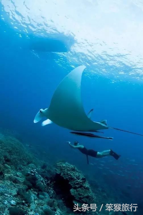 东南亚最适合潜水的海岛,6个绝美免签海岛