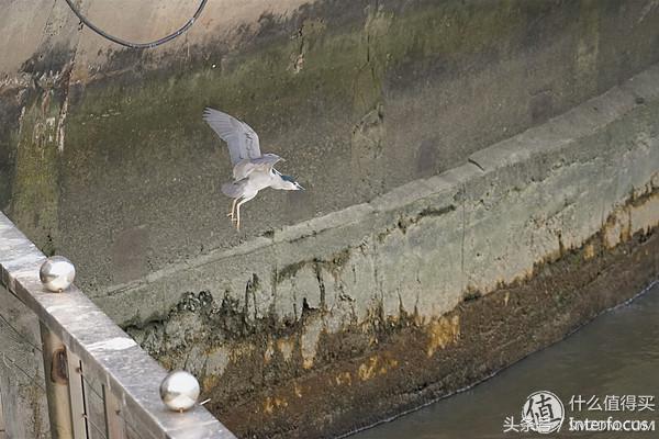 初入摄影应该必备哪些镜头,初入摄影该怎么选相机