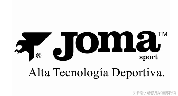 专业的足球鞋有哪几个品牌,曾经的足球鞋知名品牌有哪些