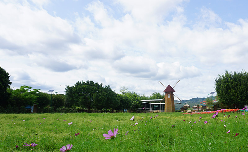 澶╀笅璞℃妫嬪瓙,澶╀笅璞℃妫嬭氨澶у叏