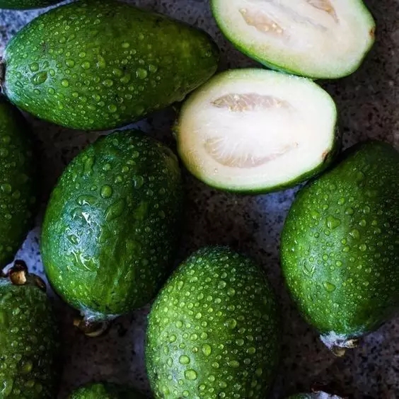 新西兰奇异果是几月的水果,新西兰奇异果大全