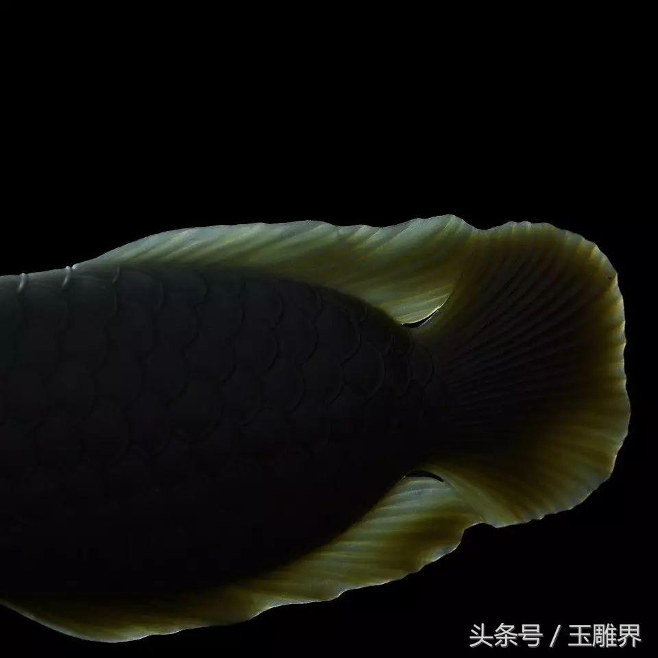 碧玉青色和绿色的区别,青白玉和玉髓的区别