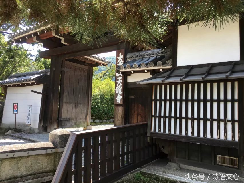 暑假带娃去部队看亲人,带娃去拉练