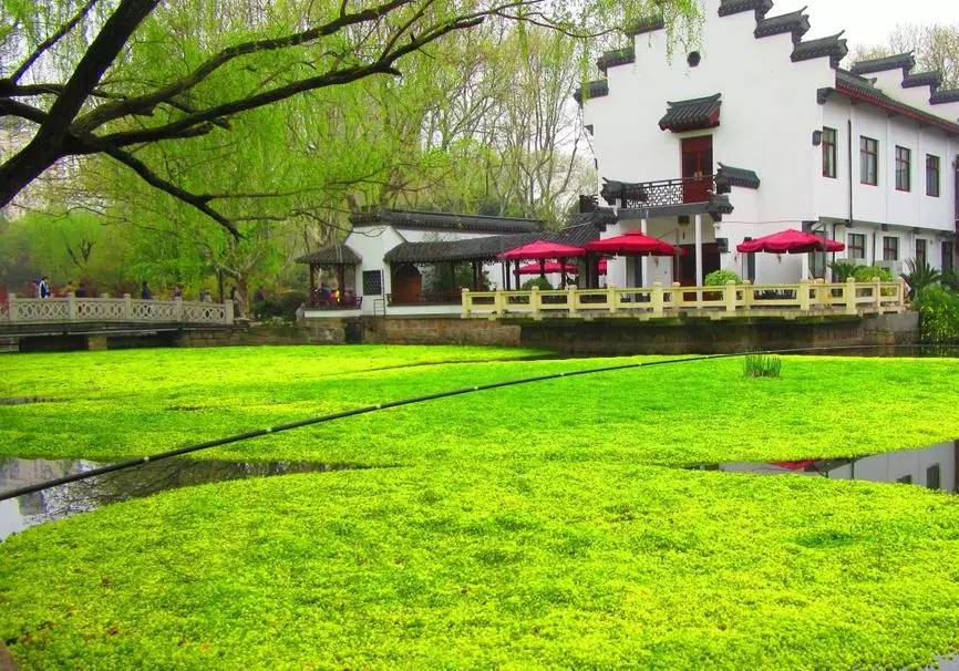 非沪籍落户上海最新政策,上海金山非沪籍放开政策