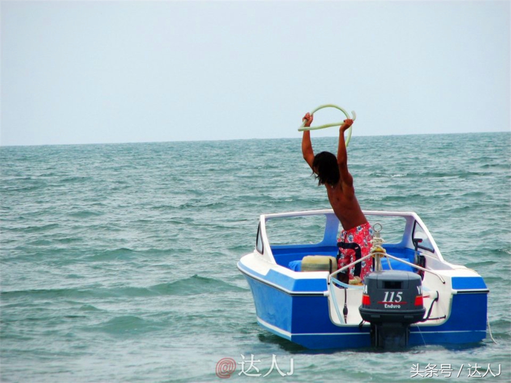 达人J:新马声色任逍遥