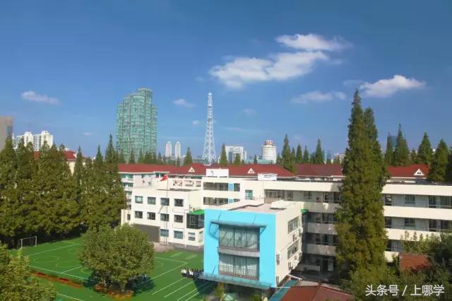 上海杨浦区小学统筹一般分到哪里,杨浦区打一小学简介