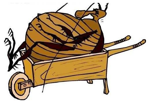 独轮车用处大吗,独轮车能骑多快