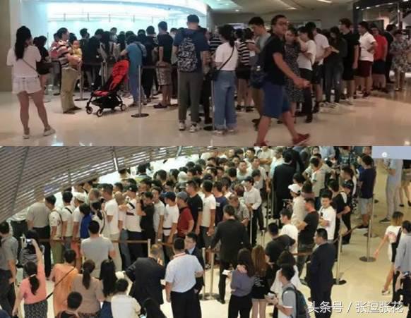 ladym蛋糕最新消息,ladym蛋糕为什么贵