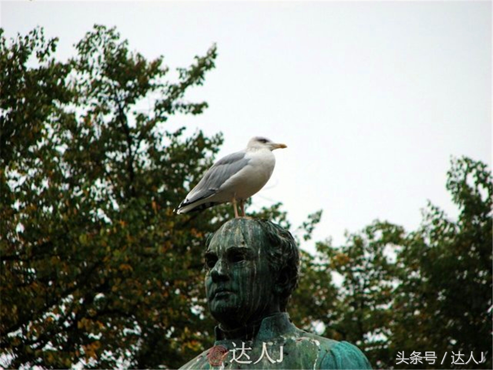 达人J：赫尔辛基·陨落在北极圈的一颗明珠