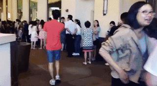 ladym蛋糕最新消息,ladym蛋糕为什么贵