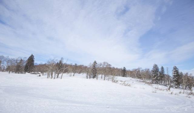 初冬掠影,哈尔滨的冬日魅力
