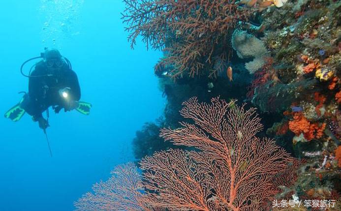 适合潜水的东南亚海岛,可以免签的冷门海岛