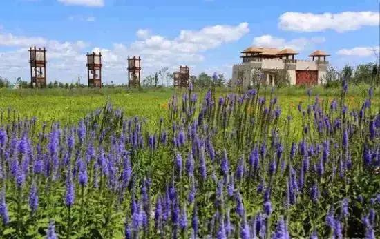 张家口之夜景色真的很美,从来没有见过的张家口美景