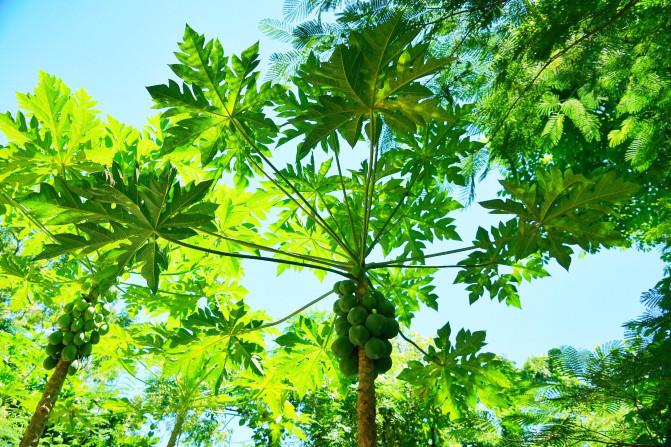 带着宝贝去旅行，遇见三亚遇见海