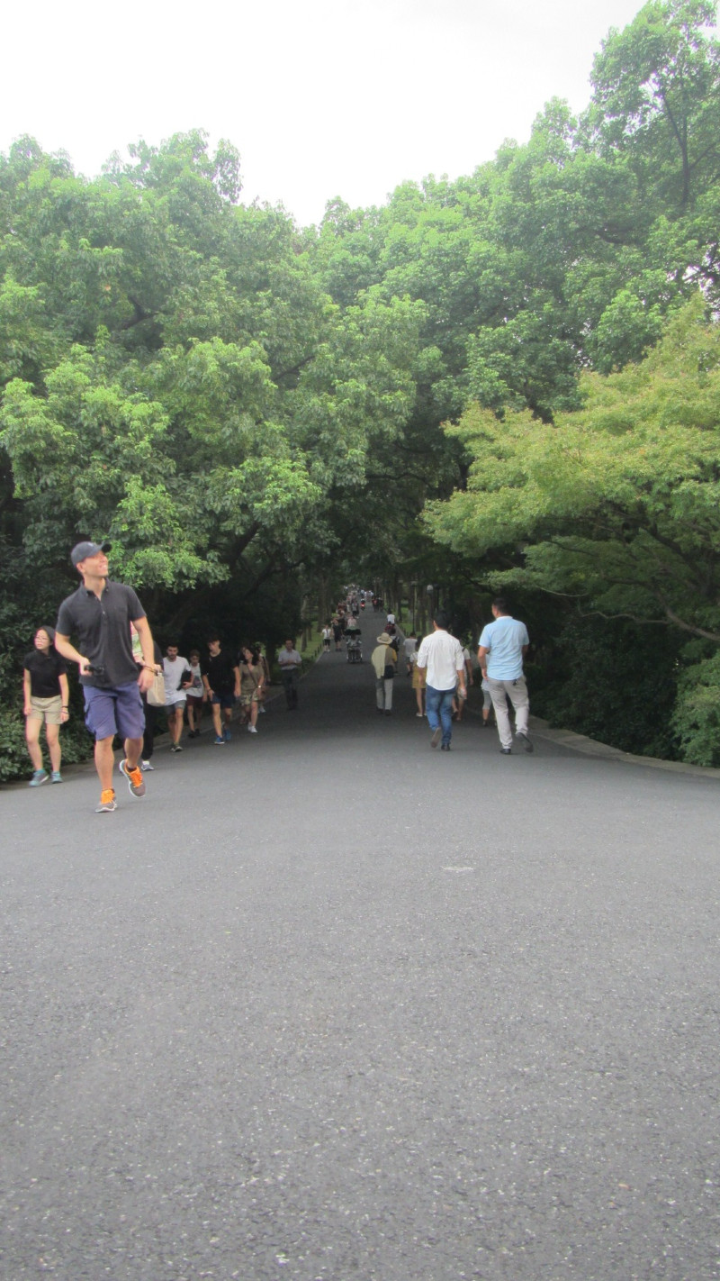 苏州西塘乌镇二日游团从杭州出发,苏州西塘乌镇二日一夜