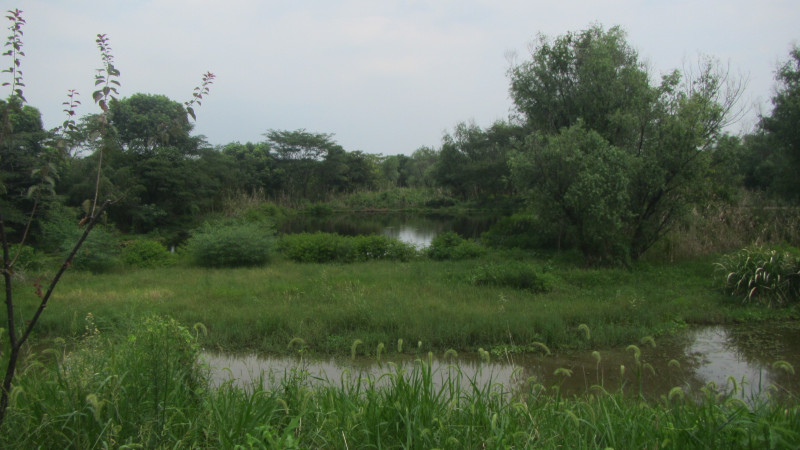 苏州西塘乌镇二日游团从杭州出发,苏州西塘乌镇二日一夜
