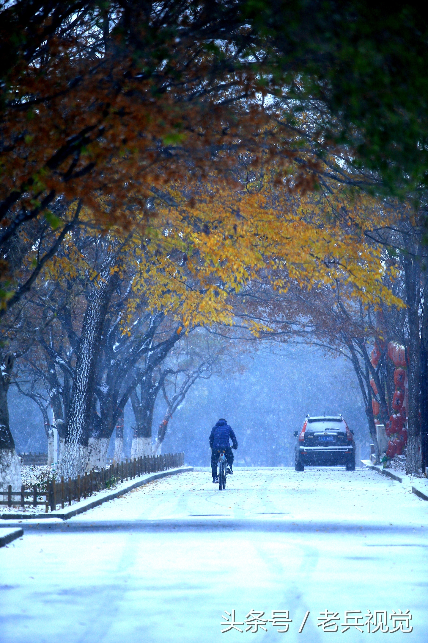 大连的秋天,大连附近秋天值得去的城市