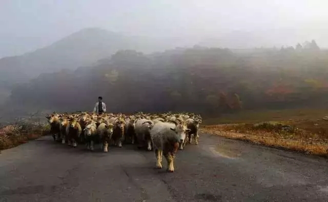 夏季沈阳周边自驾游路线推荐,沈阳周边30个最佳自驾好去处