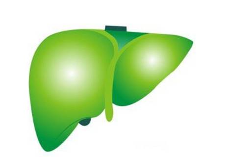 每天坚持喝一杯白酒20年后会怎样,坚持每天喝一杯白酒一年后会怎样