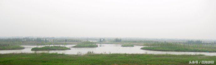 浙江玉环漩门湾国家湿地公园灯光,浙江玉环漩门湾湿地公园拍鸟