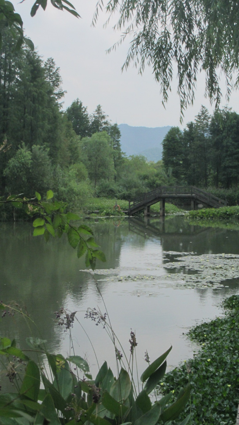 苏州西塘乌镇二日游团从杭州出发,苏州西塘乌镇二日一夜