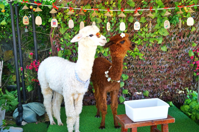 国庆节都快出去旅游吧,国庆快到了有没有一起旅游的